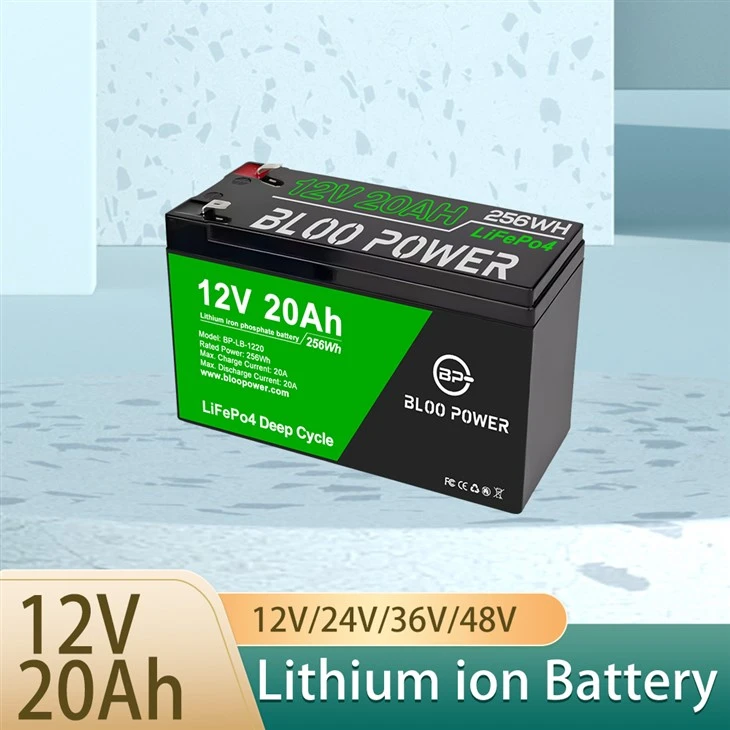 LFP Cell Bicycle Battery Lithium Ion Ebike Battery For Road Trip